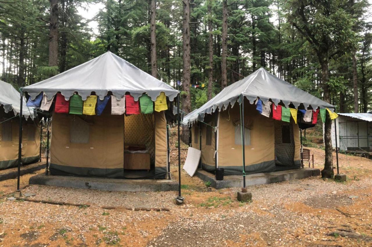 Himtrek Stays,Mcleodganj МакЛеод Ганж Екстериор снимка