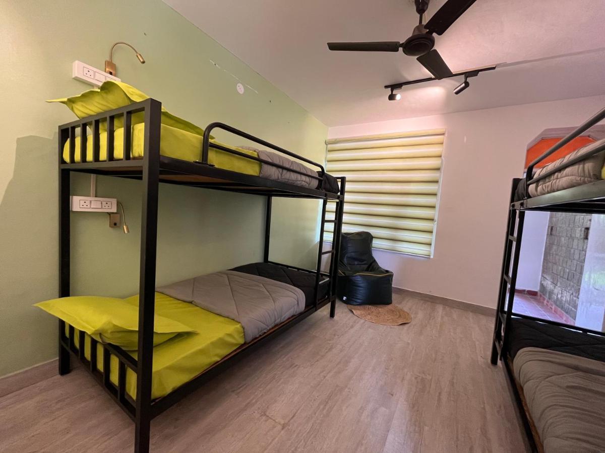 Himtrek Stays,Mcleodganj МакЛеод Ганж Екстериор снимка