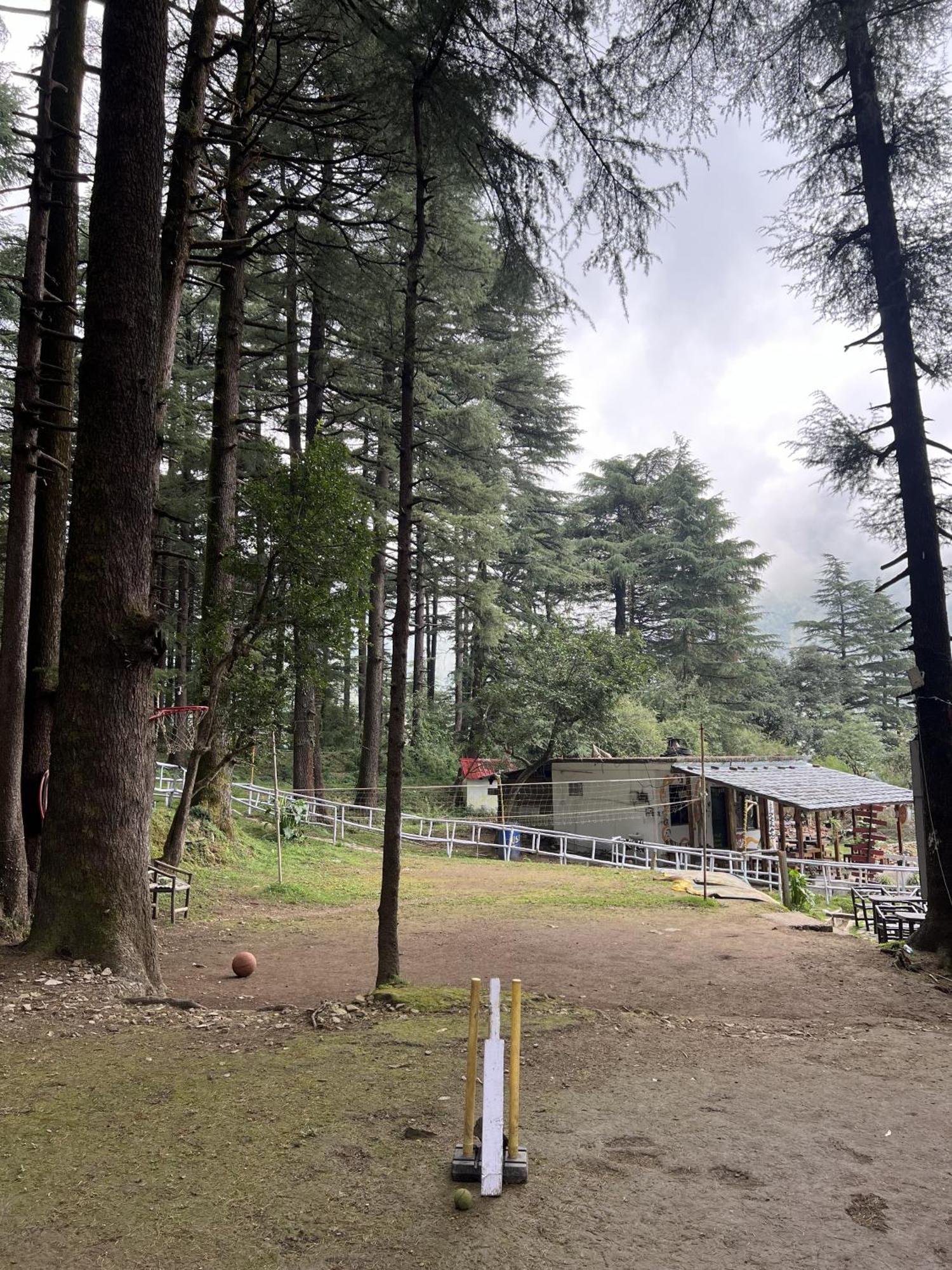 Himtrek Stays,Mcleodganj МакЛеод Ганж Екстериор снимка