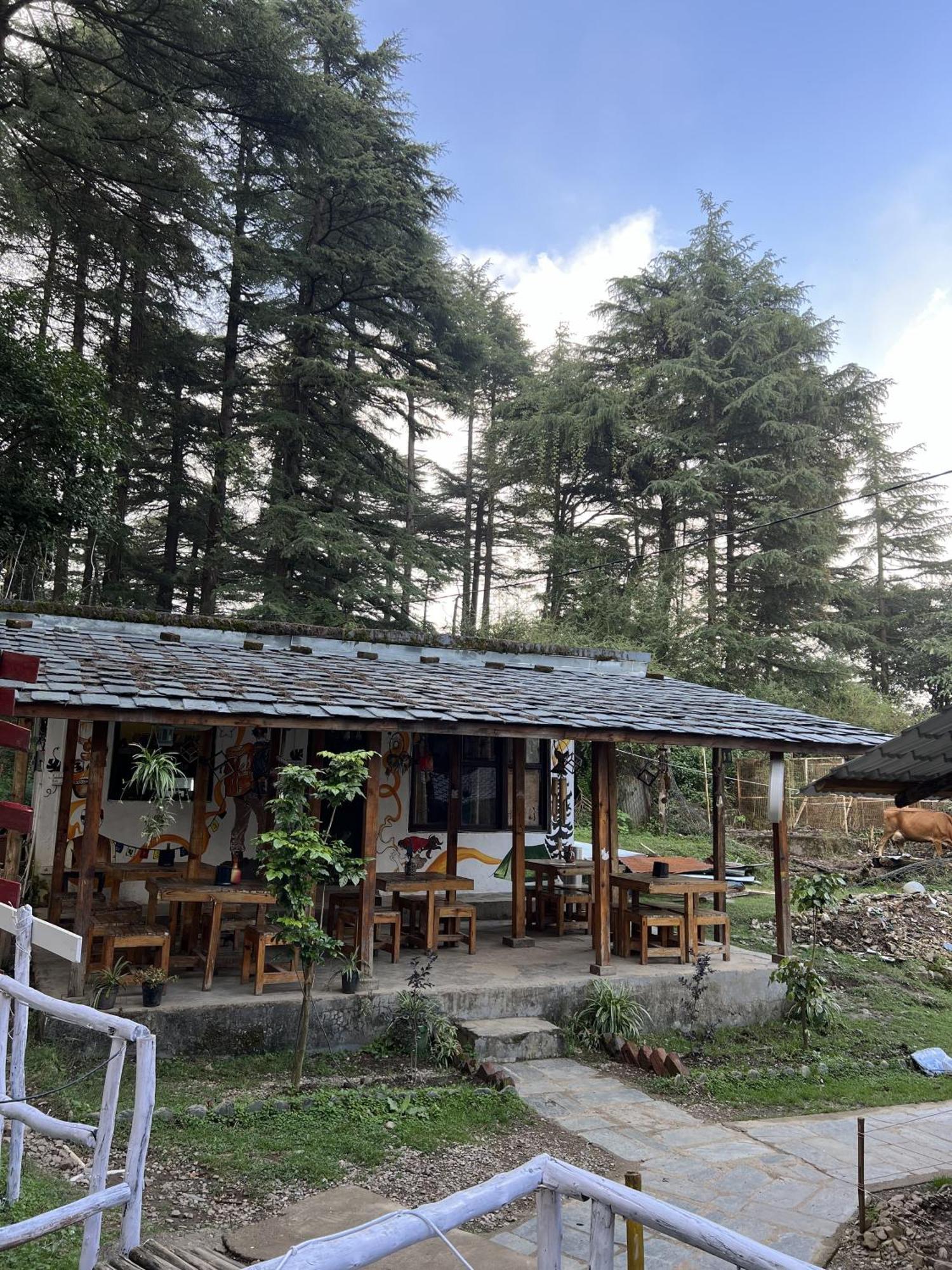 Himtrek Stays,Mcleodganj МакЛеод Ганж Екстериор снимка