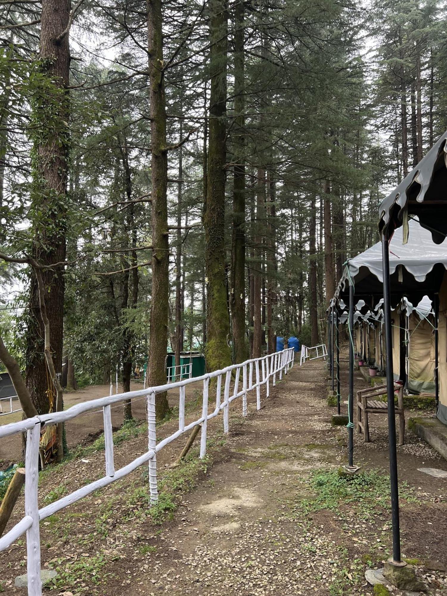 Himtrek Stays,Mcleodganj МакЛеод Ганж Екстериор снимка