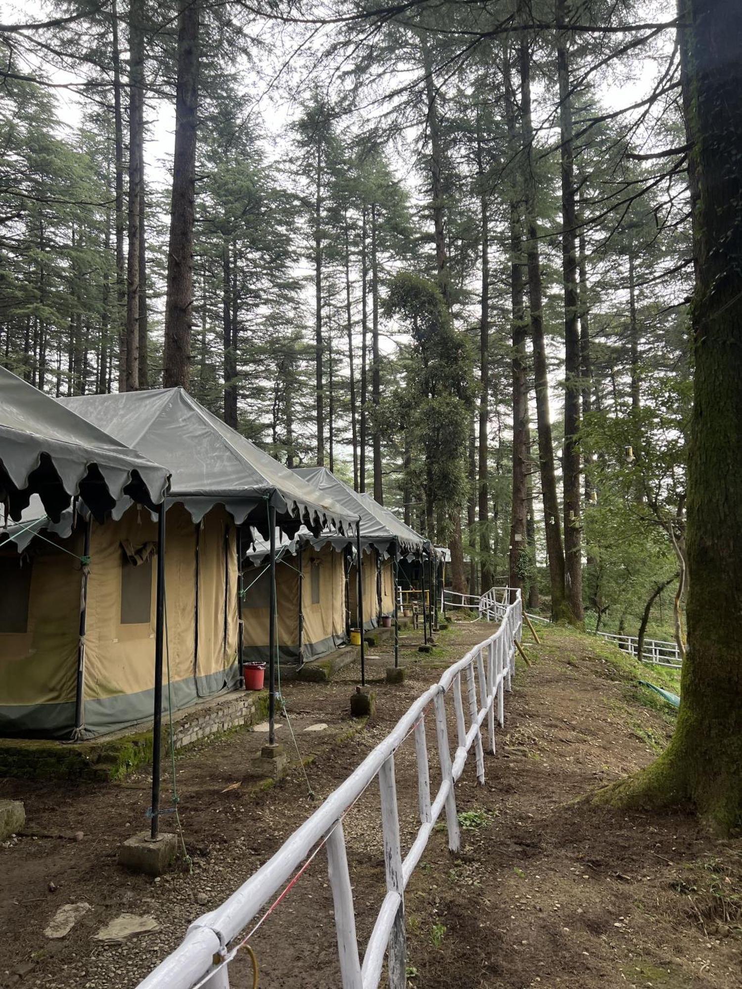 Himtrek Stays,Mcleodganj МакЛеод Ганж Екстериор снимка