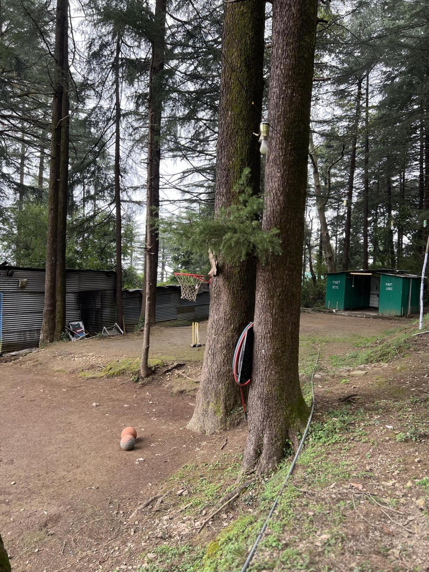 Himtrek Stays,Mcleodganj МакЛеод Ганж Екстериор снимка