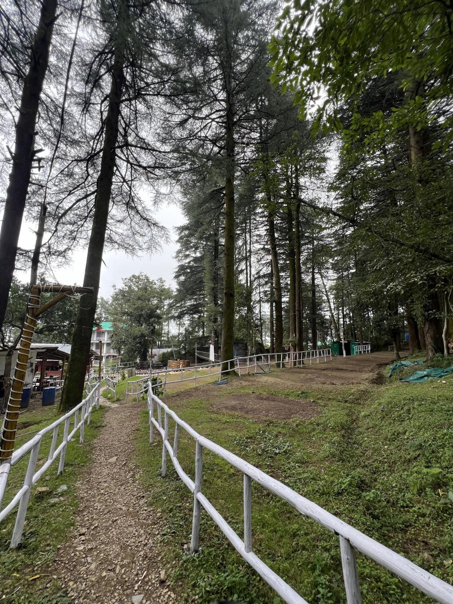 Himtrek Stays,Mcleodganj МакЛеод Ганж Екстериор снимка