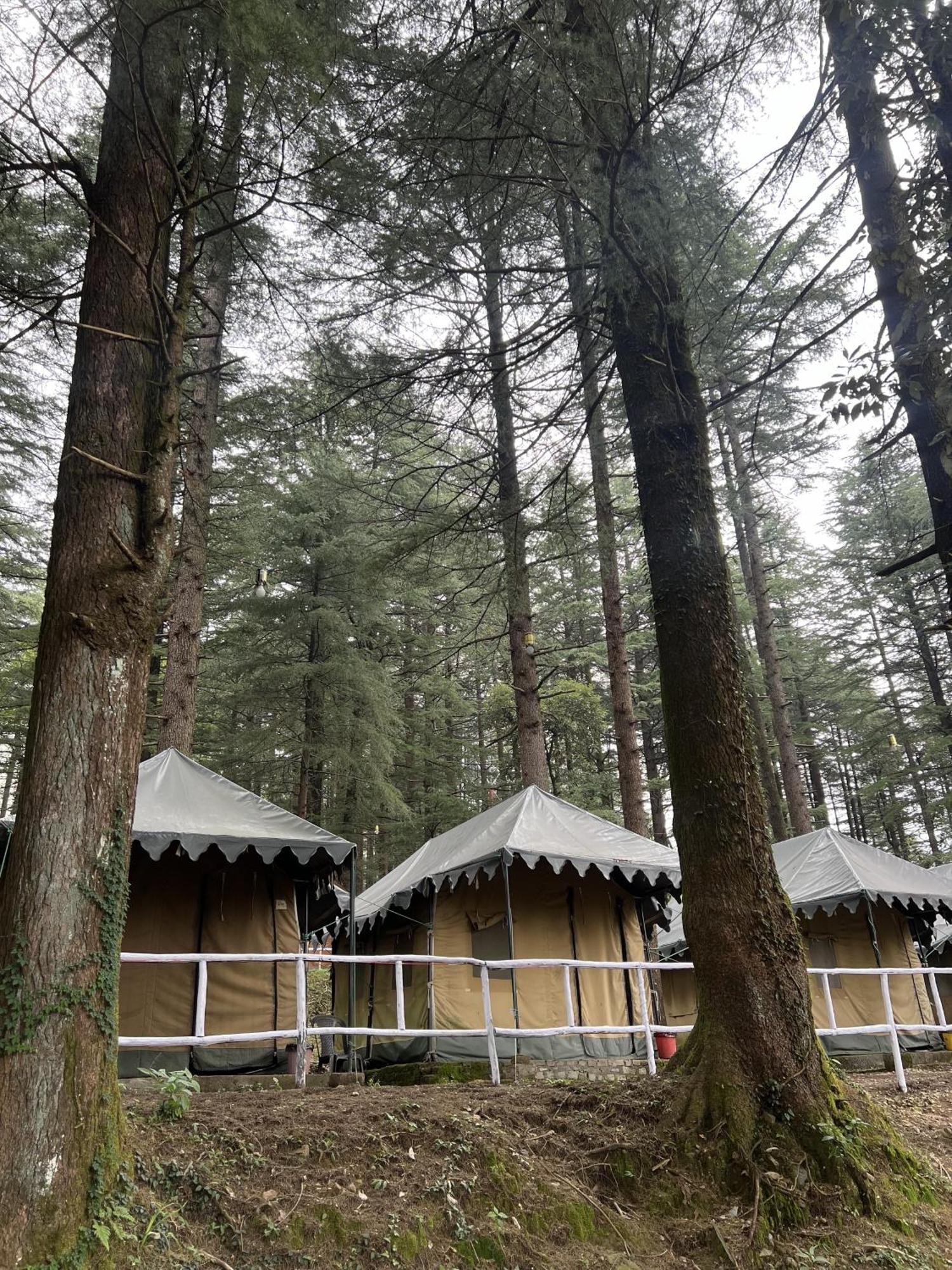 Himtrek Stays,Mcleodganj МакЛеод Ганж Екстериор снимка