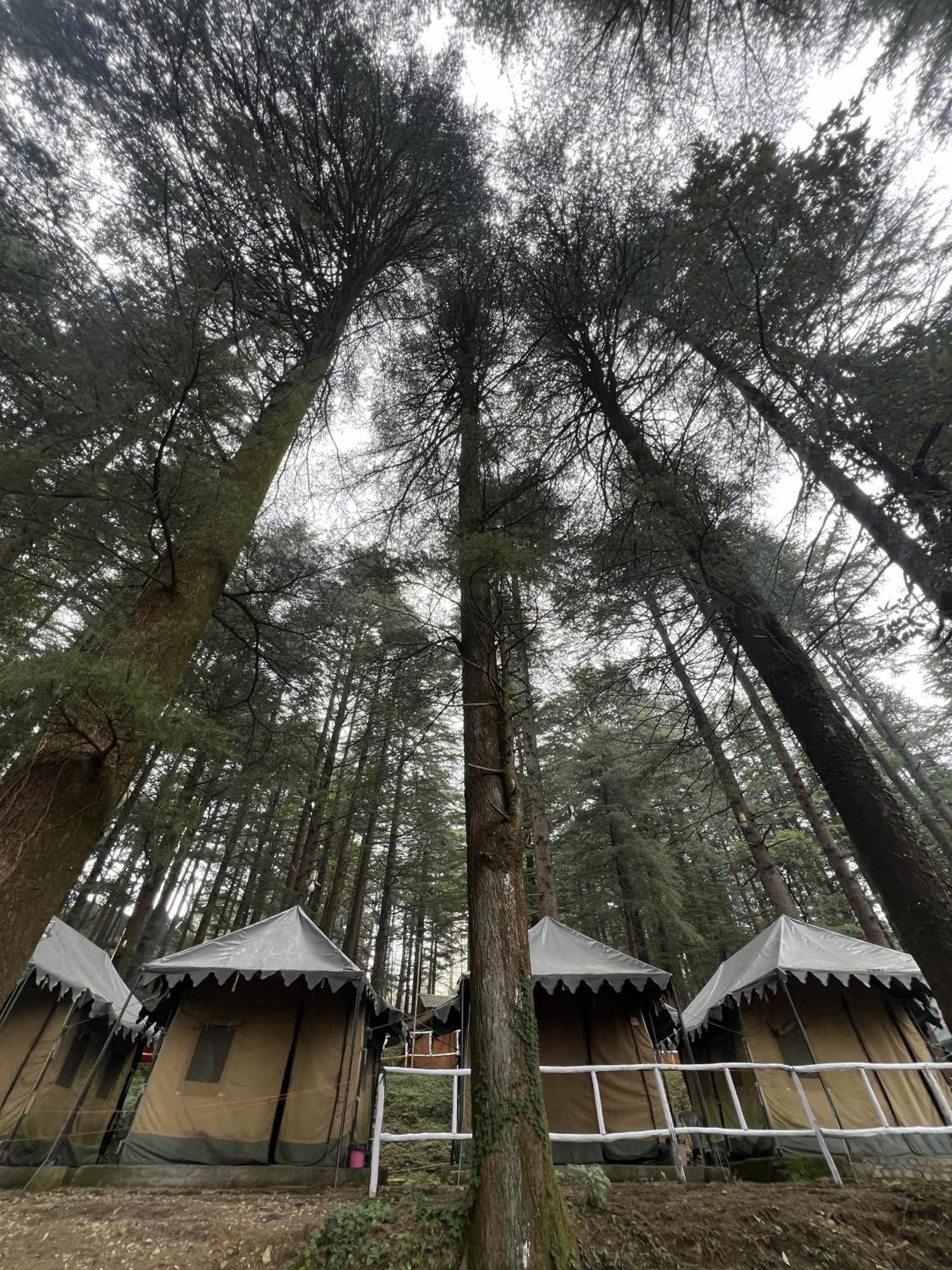 Himtrek Stays,Mcleodganj МакЛеод Ганж Екстериор снимка