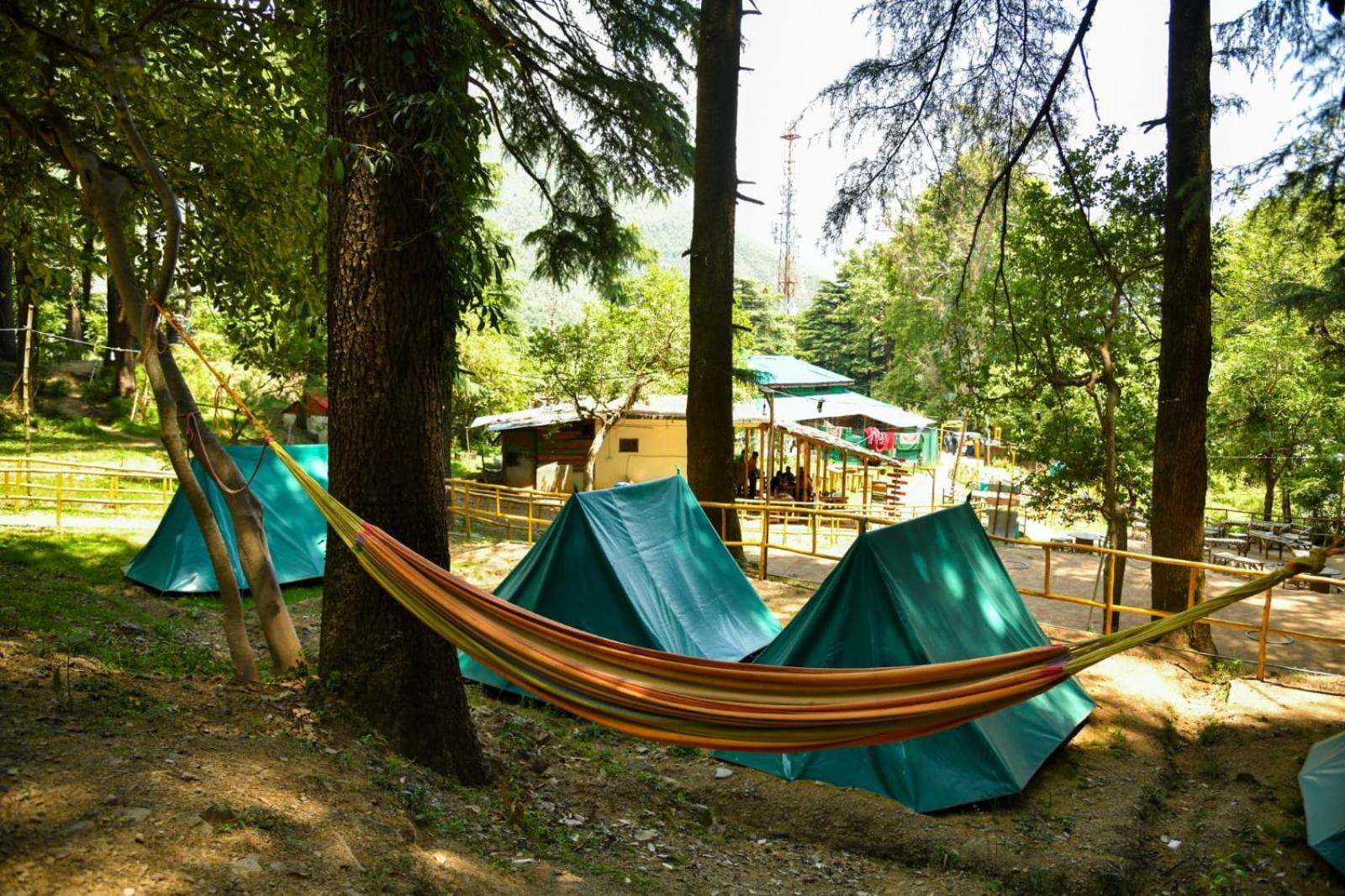 Himtrek Stays,Mcleodganj МакЛеод Ганж Екстериор снимка